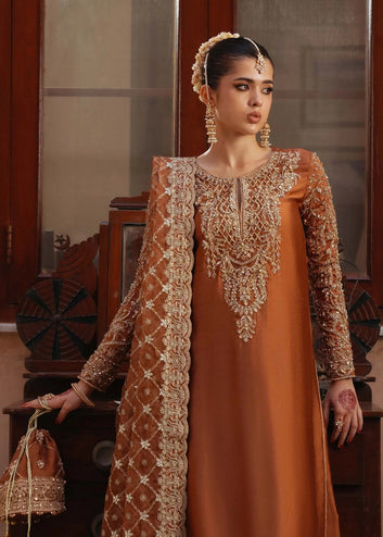 Amber Glow – Embroidered Tissue Silk 3-Piece