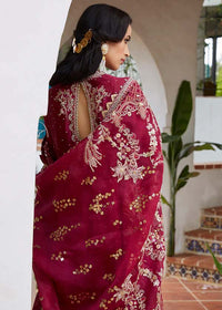 Zaibi – Fabfashion.pk
